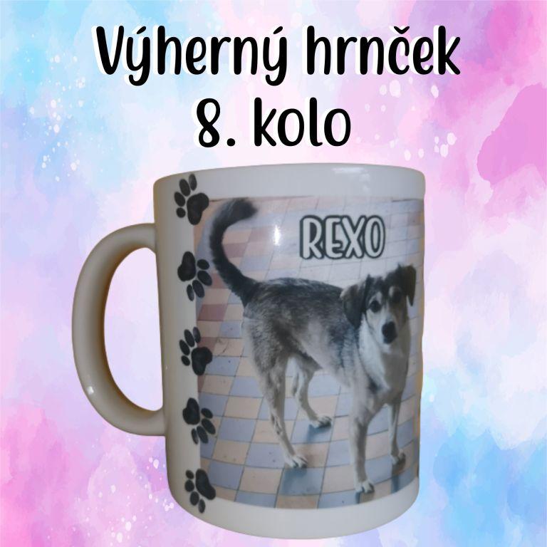 8. kolo